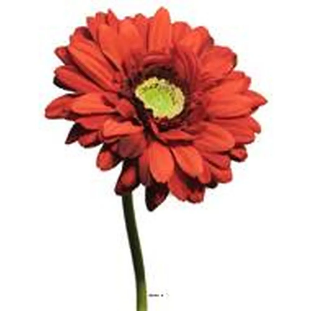 Gerbera artificiel h48cm rouge best rouge